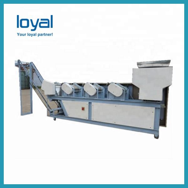 High Quality 2019 Hot-Selling Food Noodle Vegetable Cutting Machine for Sale